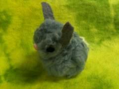 Pom pom Craft kit (Rabbit)