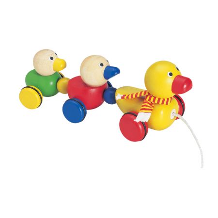 Duck Family Pull along
