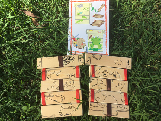 Frog Life Cycle Jacobs Ladder