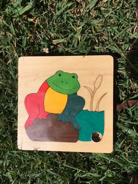 George Luck Frog Life Cycle Puzzle